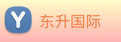 东升国际 logo